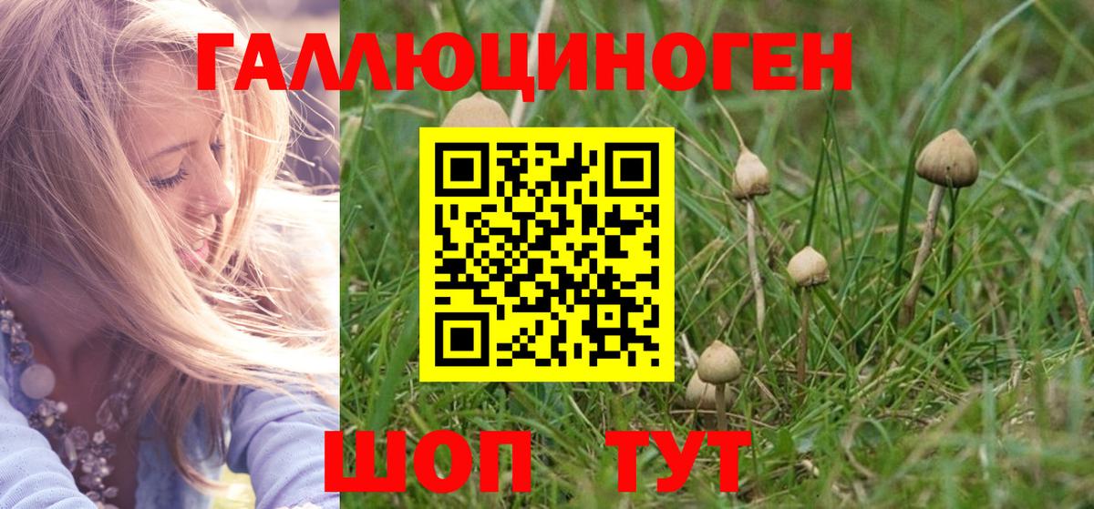 Елабуга  Псилоцибиновые грибы Psilocybine cubensis  Вход с VPN  Галлюциногенные грибы ЛСД 
